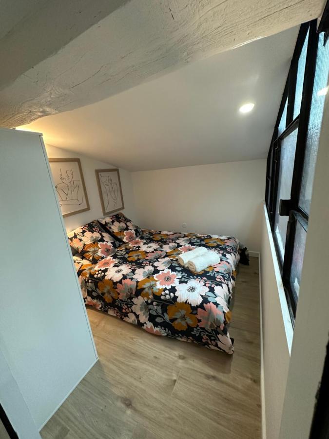 Apartament Un Brin De Pampa Vienne  Zewnętrze zdjęcie